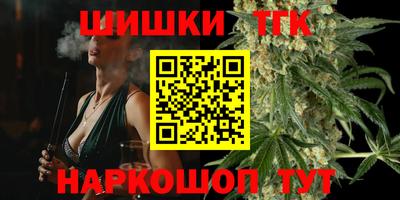 дмт Аргун