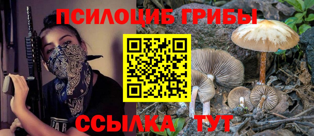 Братск  Галлюциногенные грибы мицелий  Вход с VPN  Псилоцибиновые грибы ЛСД 