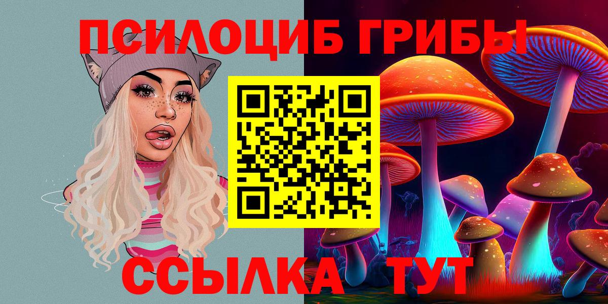 Псилоцибиновые грибы ЛСД Братск